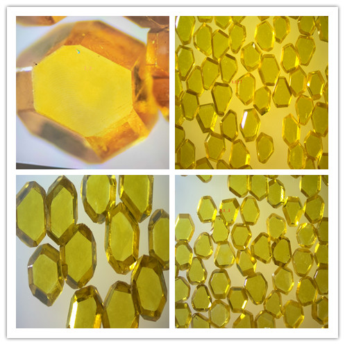 IMG_20250627_102554_副本