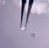 Diamond optical prisms